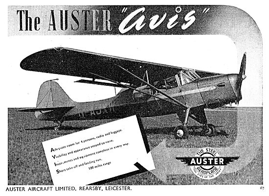 Auster Avis                                                      