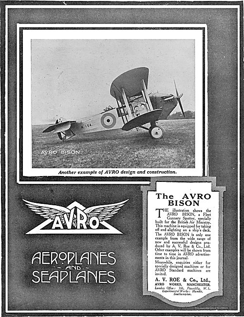 The Avro Bison                                                   