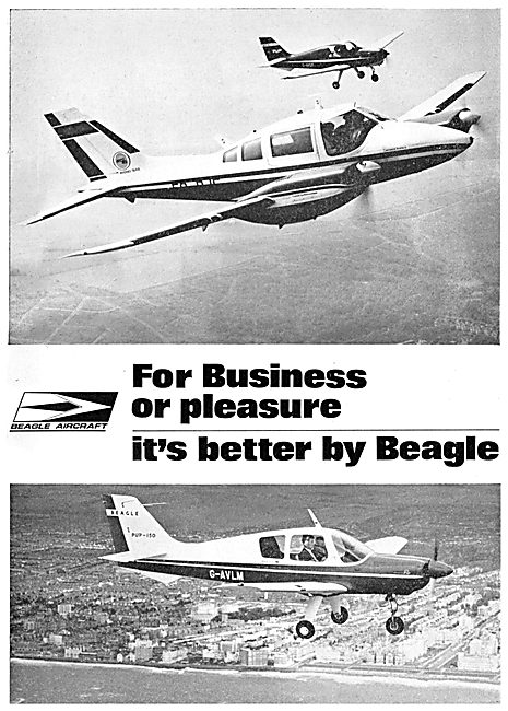 Beagle B.206-S - Pup                                             