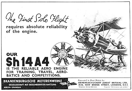 Brandenburgische Sh 14A4 150 HP Aero Engine                      