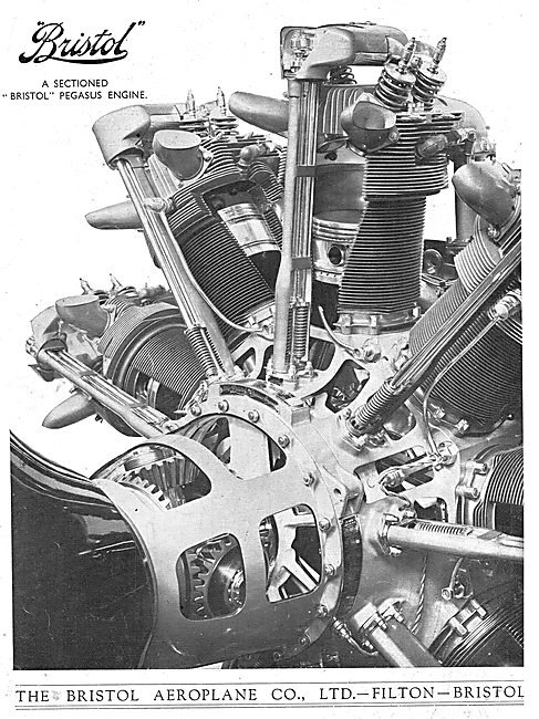 Bristol Pegasus Aero Engine (Sectioned)                          