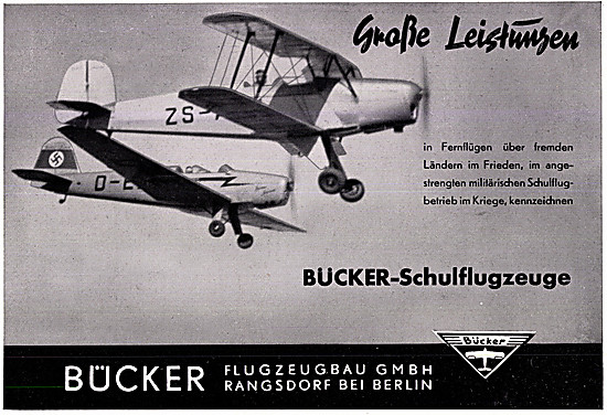 Bucker Jungmann - Bucker Training Aircraft                       
