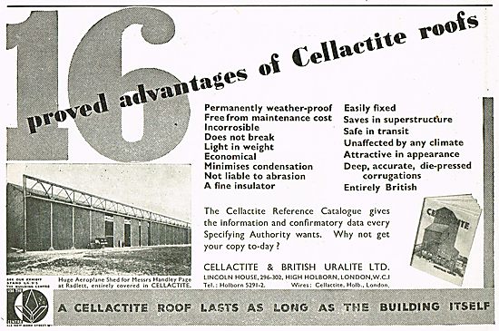 16 Advantages Of Cellactite                                      