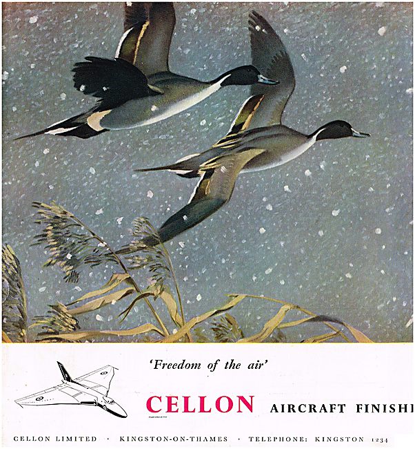 Cellon Aircraft Protective Finishes                              