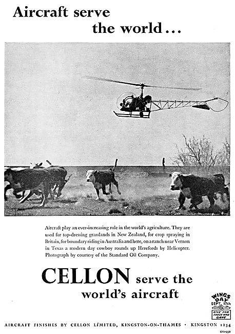 Cellon Aircraft Paints & Finishes                                