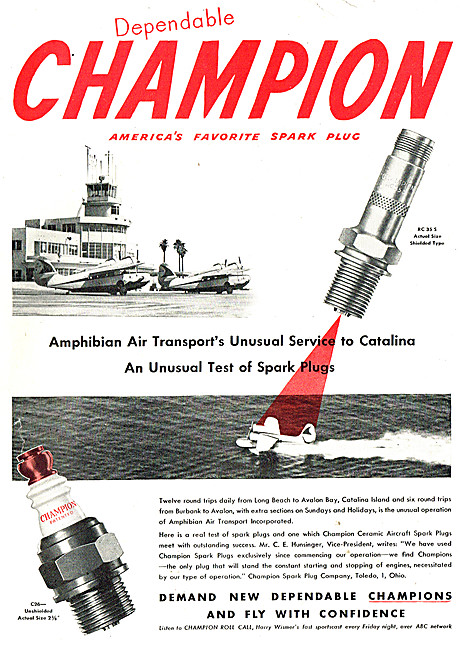 Champion Spark Plugs                                             