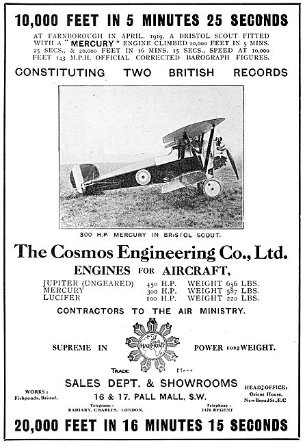 Cosmos Mercury Aero Engine - Bristol Scout                       