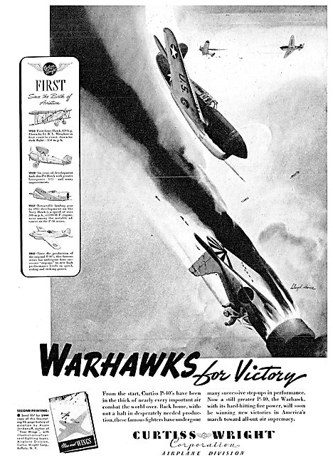 Curtiss-Wright P40 Warhawk                                       