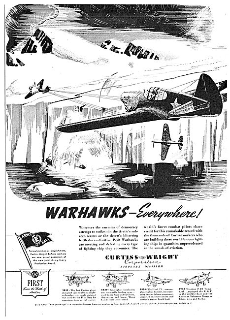 Curtiss-Wright P40 Warhawk                                       