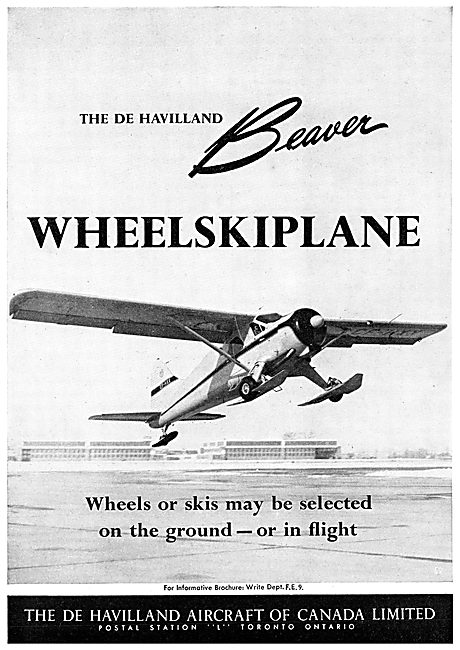 De Havilland Canada DHC Beaver Wheelskiplane                     