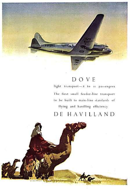 De Havilland Dove                                                