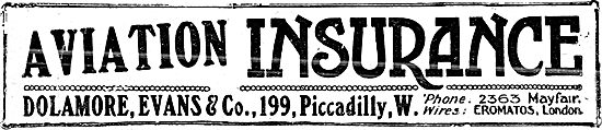 Dolamore, Evans & Co. Aviation Insurance                         