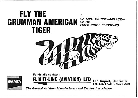 Grumman American Tiger                                           