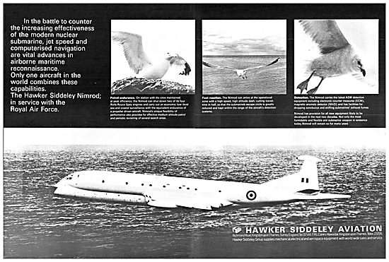 Hawker Siddeley Nimrod                                           