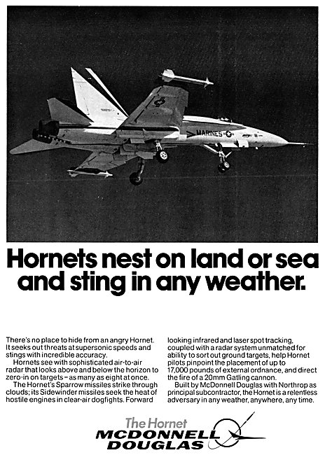 McDonnell Douglas Hornet                                         