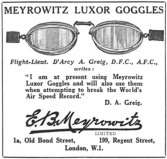 Meyrowitz Luxor Flying Goggles                                   