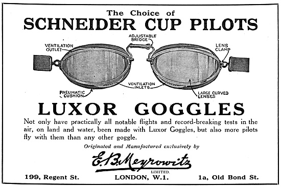 Meyrowitz Luxor Flying Goggles                                   