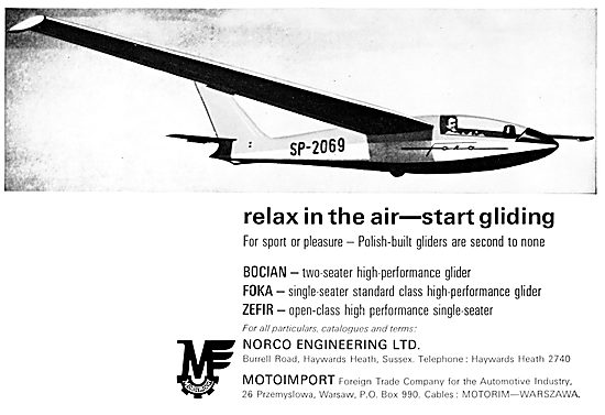 Motoimport - Polish High Performance Gliders & Sailplanes        