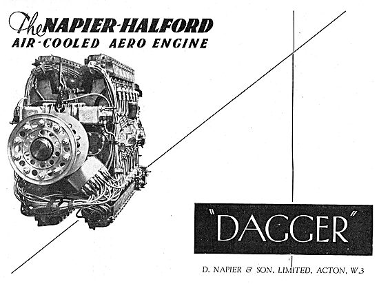 Napier Dagger                                                    