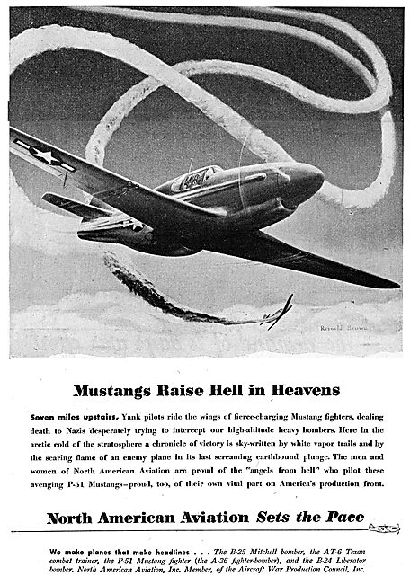 North American P-51 Mustang                                      