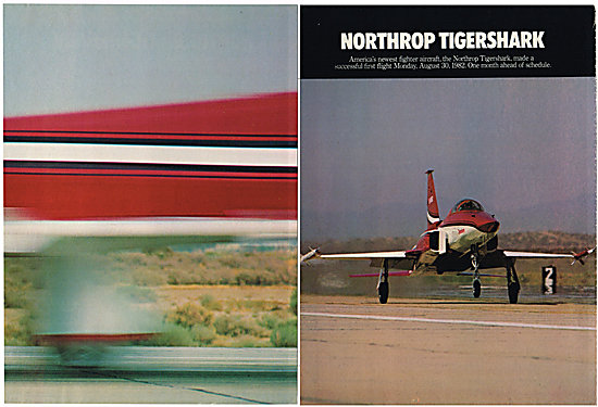 Northrop F-5G Tigershark 2/2                                     