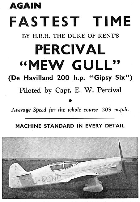 Percival Mew Gull                                                