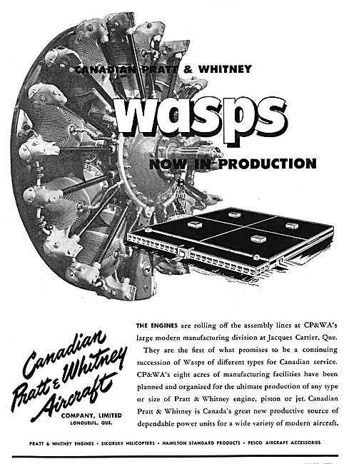 Pratt & Whitney Wasp                                             