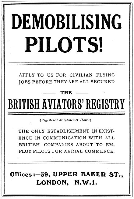 RAF Recruitment - The British Aviators' Registry 1919            