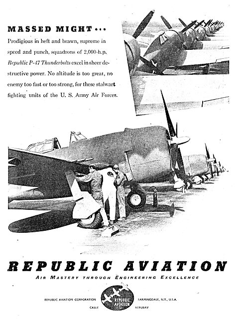 Republic P-47 Thunderbolt                                        