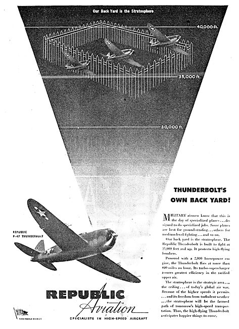 Republic P-47 Thunderbolt                                        