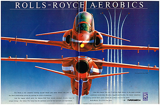 Rolls-Royce Turbomeca Adour                                      