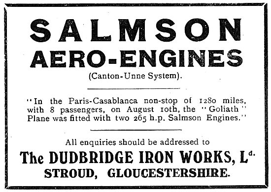 Salmson Aero Engine 265 HP Goliath Aircraft                      