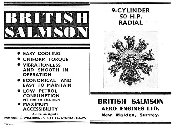 British Salmson 9 Cylinder AD9 Radial Aero Engine                