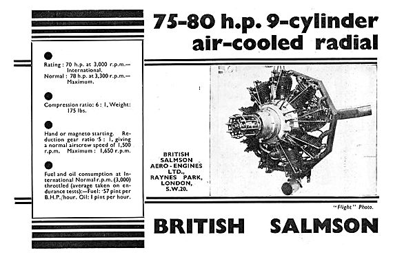 British Salmson 75 hp 9 Cyl Radial                               