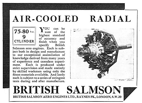 British Salmson 75-80 HP 9 Cylinder Aero Engine                  