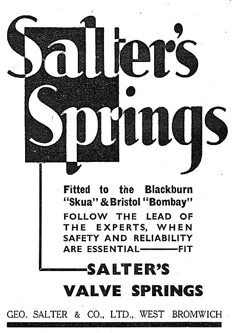 Salter's Springs                                                 