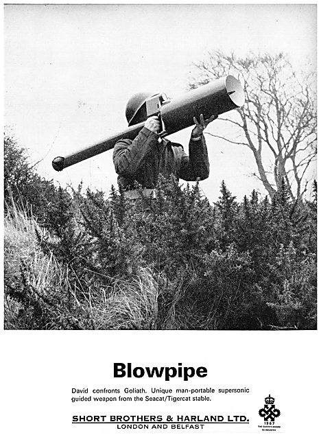 Short Blowpipe                                                   