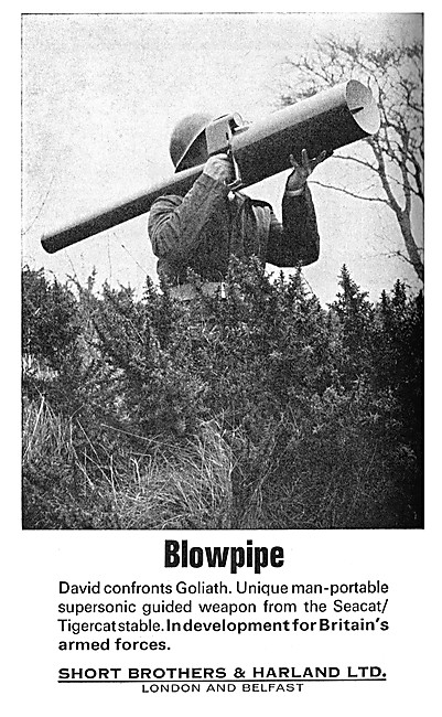 Short BLOWPIPE Guided Missile                                    