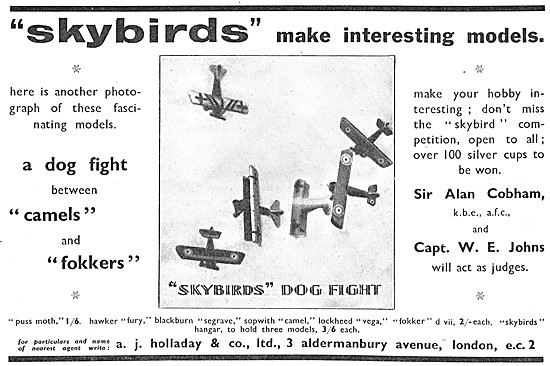 Skybirds Model Aircraft                                          