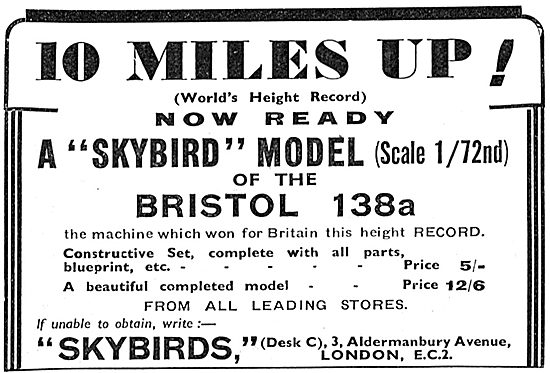Skybirds Model Aircraft - Bristol 138a                           