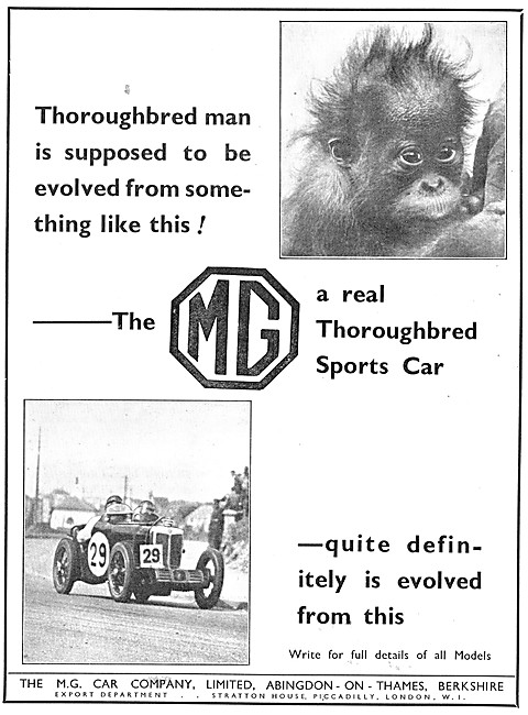 MG Cars Advert 1933                                              