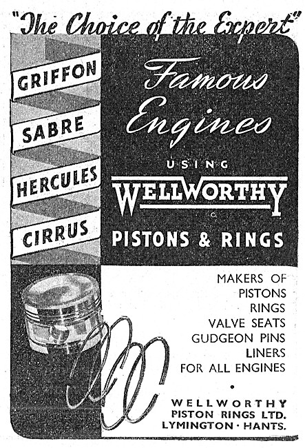 Wellworthy Pistons & Piston Rings                                