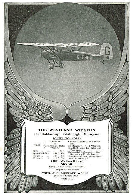 Westland Widgeon G-EBPW Specification & Options                  