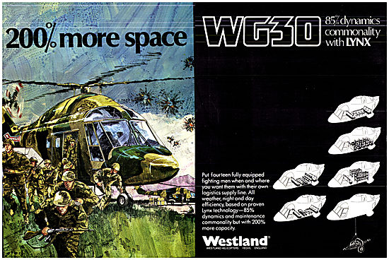 Westland WG30                                                    